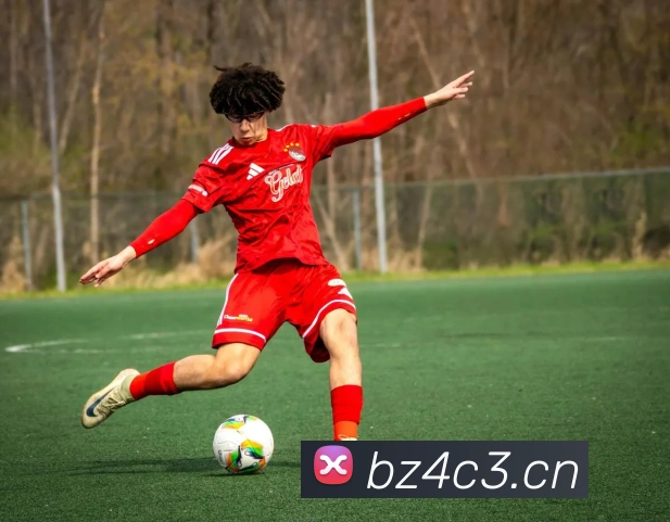 易倍emc官方平台生态图